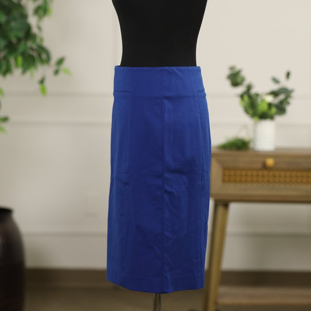 Ann Taylor Blue Skirt